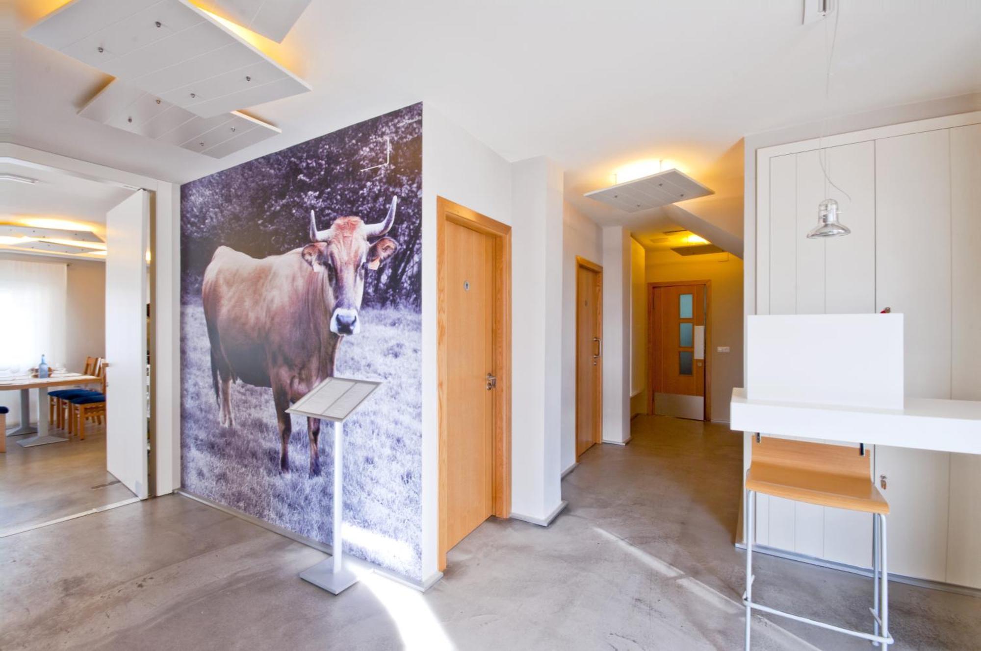 Hotel Boa Vista Viveiro Εξωτερικό φωτογραφία